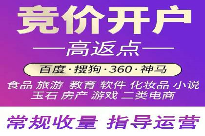 百度推广运营案例精选：揭秘成功之道